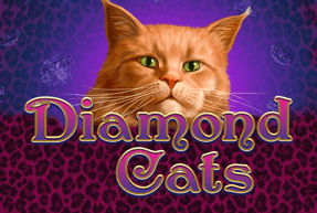 Diamond Cats