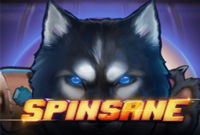 Spinsane