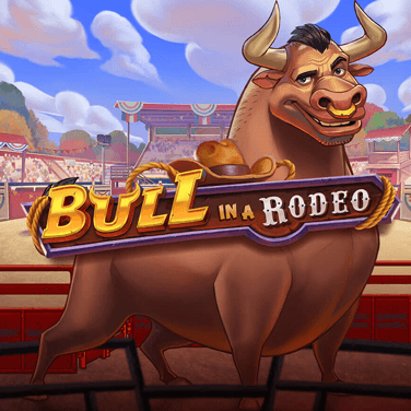 Bull in a Rodeo