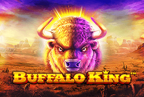 Buffalo King