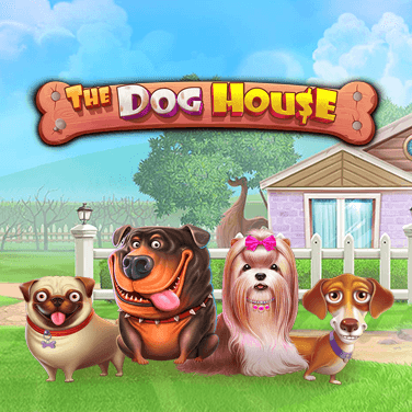 The Dog House